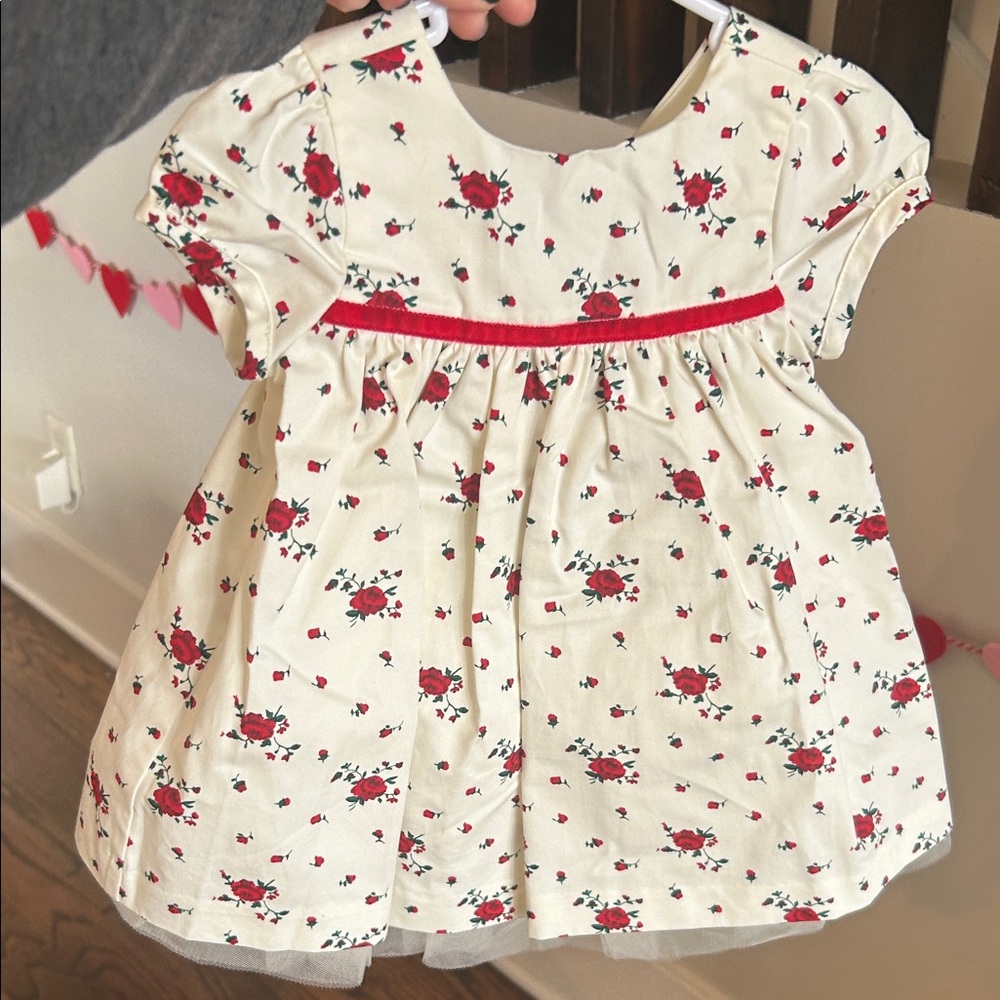 Janie and Jack Floral Baby Dress w/ bloomers. Velvet bow.
